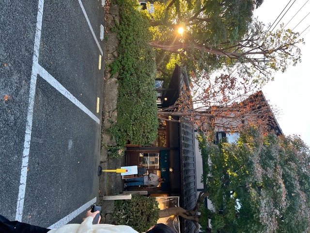 IMG_7377.jpeg